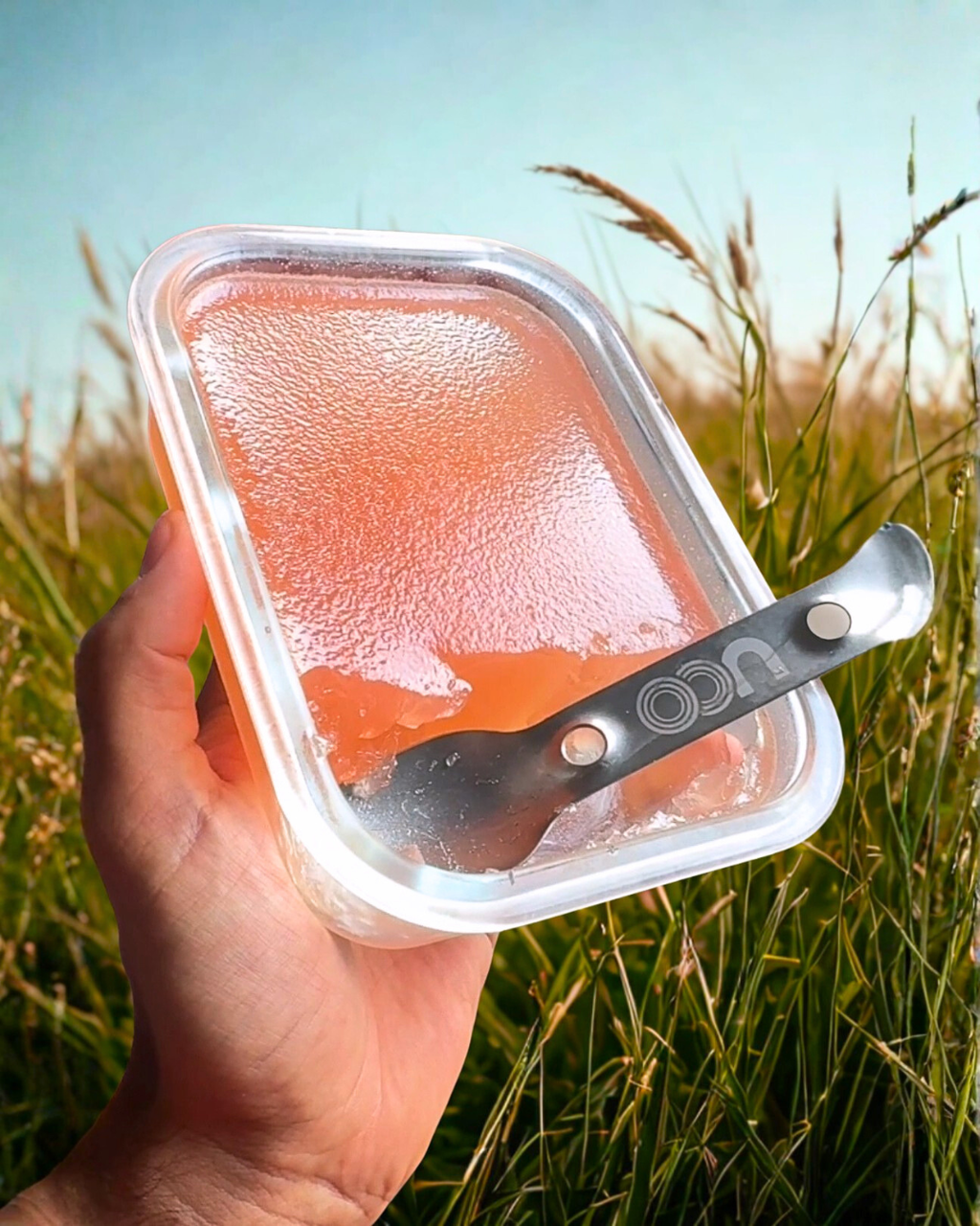 Pink Lemonade Gelatin Dessert