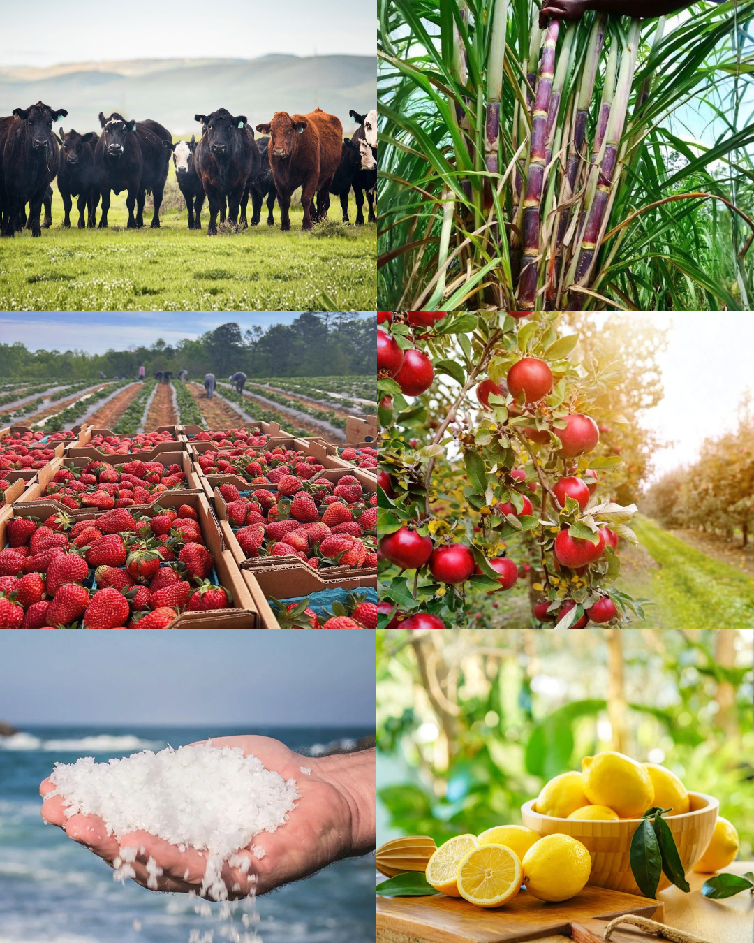 Pink Lemonade Gelatin Dessert