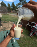 Maple Milk