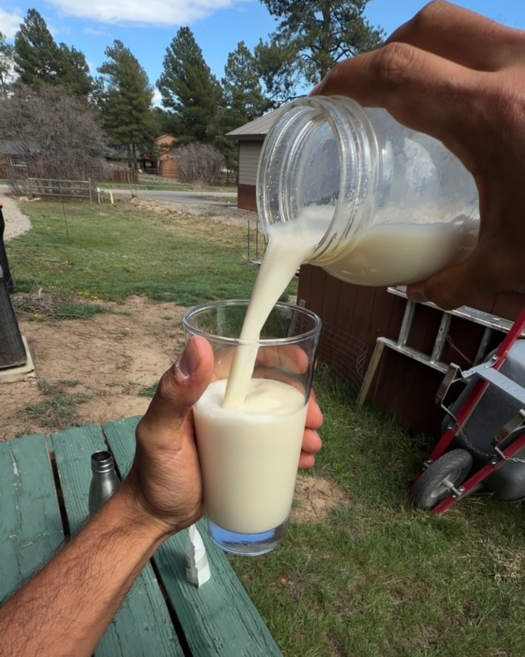 Maple Milk