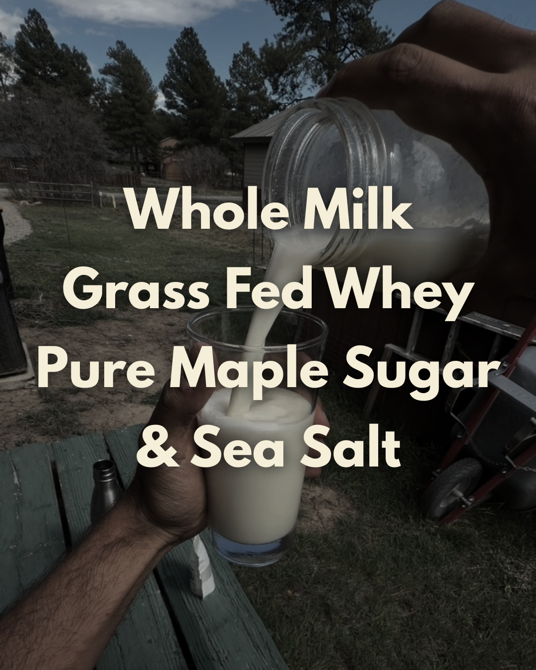 Maple Milk
